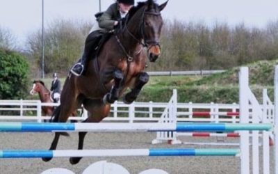 ☘️”Max has been my horse of a lifetime” says Louise Giddins 13 years on…
