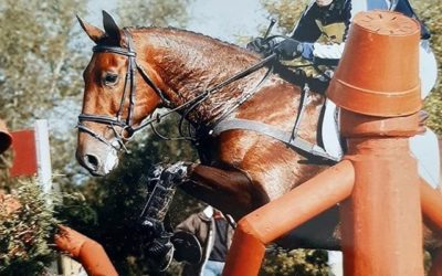 ☘️”The best money ever spent” says eventer Sally Anderson on her purchase 15 years on…