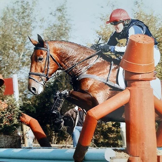 Image of a horse and rider jumping a fence
