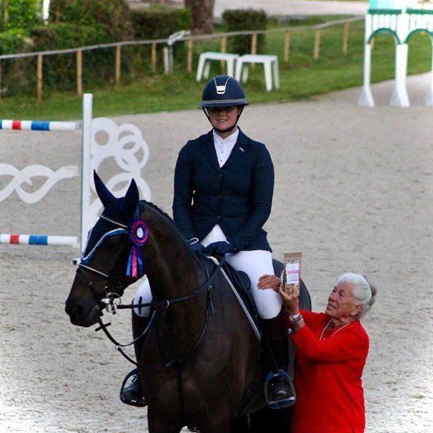 Image of a horse and rider in a competition