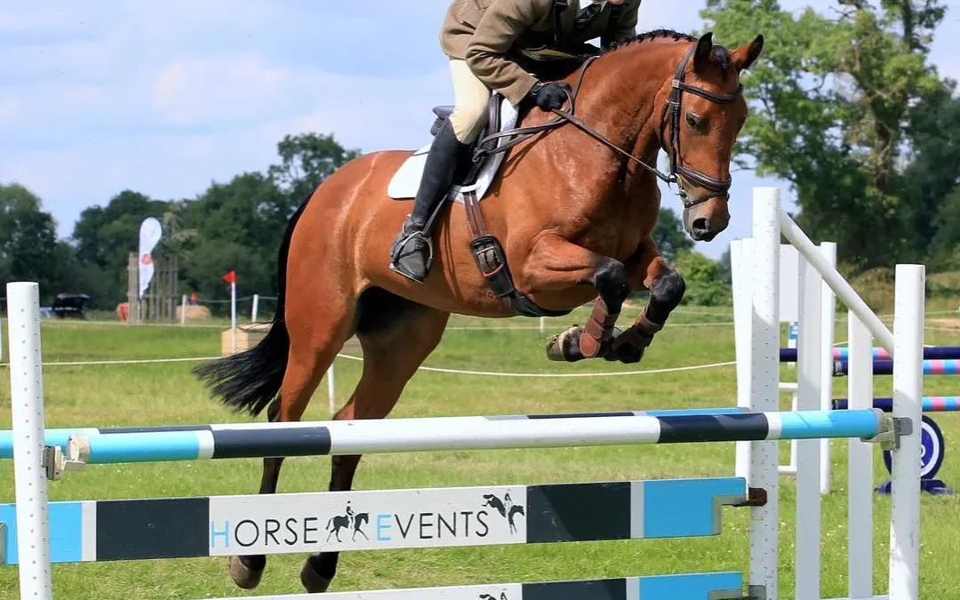 image of a rider jumping on a horse