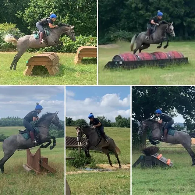 images of a rider jumping on a horse