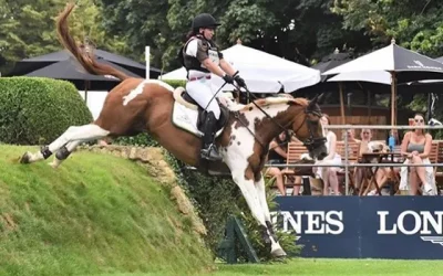 ☘️Sold to 4* event rider Phoebe Powell as a 3 year old…