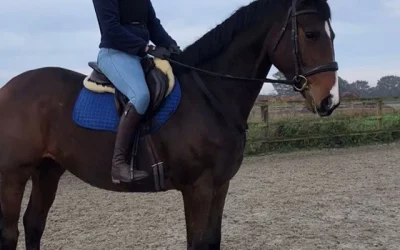 ☘️”Turning out to be just perfect!!” says Sophie Plummer-Jones of her new 4 year old…