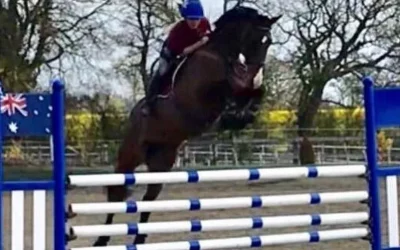 ☘️Sold to Beth Reed for her to take into the eventing arena…