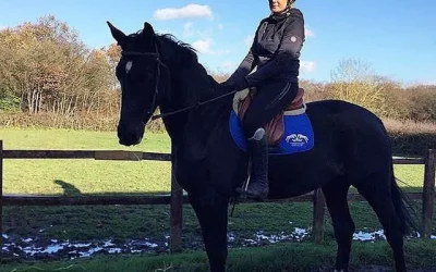 ☘️”The most pleasant breaker I’ve ever had the pleasure of starting” says horse trainer Laura Reed of her new 4 year old…
