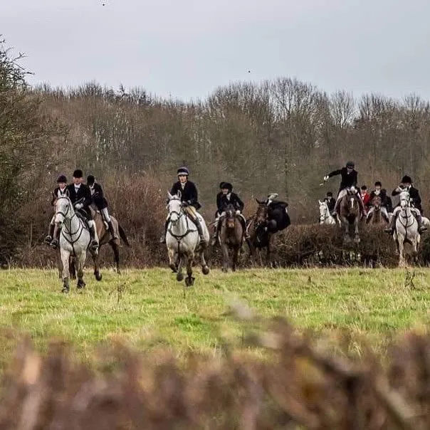 image of a group of riders on horses
