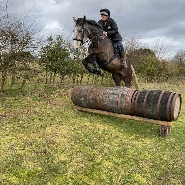 image of a rider jumping on a horse