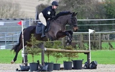 ☘️”XC machine” says eventer Kathryn Baker Brooks of the 4 year old she bought…
