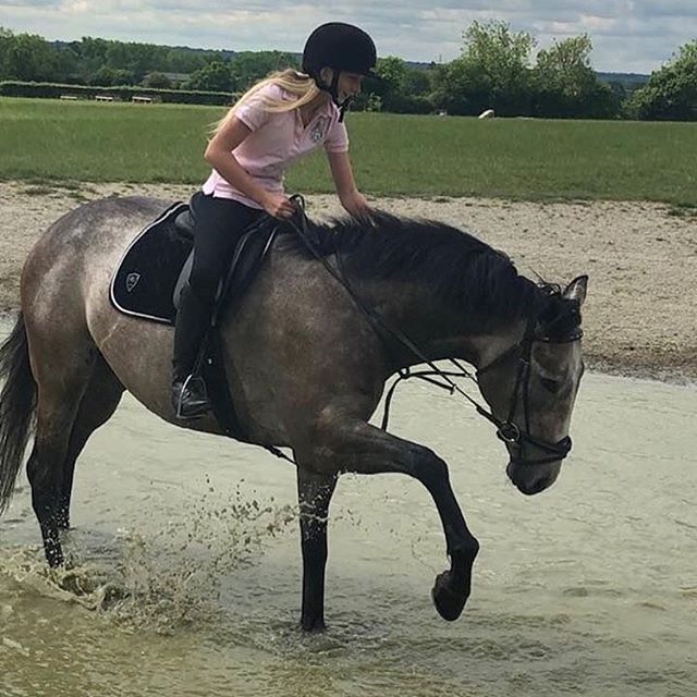 Image of a horse and rider going through water