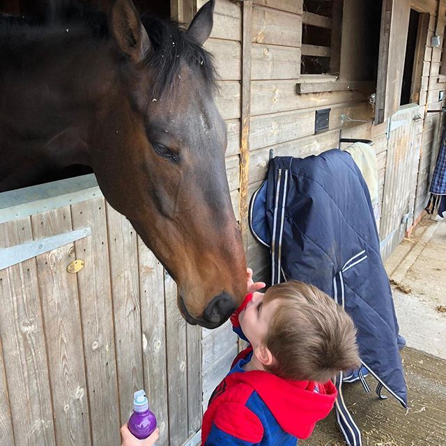 image of a boy kissing a horse