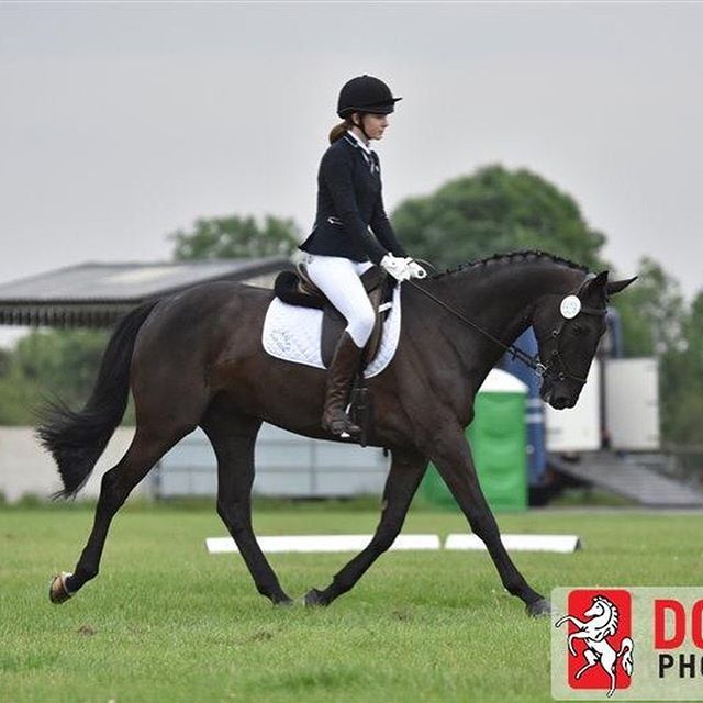 Image of a competing rider and horse