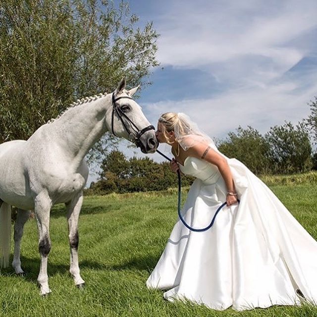 Image of a bride kissing a white horse