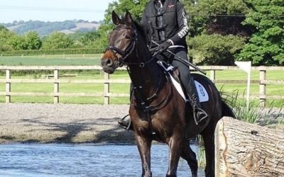☘️Sold to eventer Jess Coombes as a 4 year old…