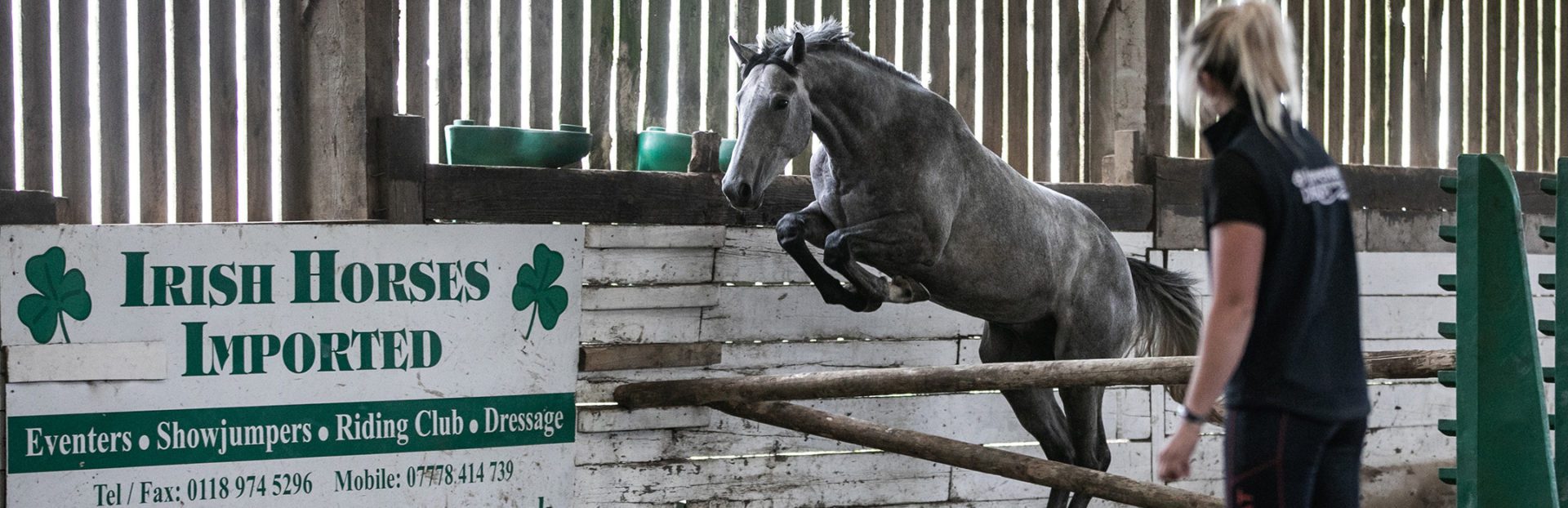 Image of a horse jumping with female trainer looking on