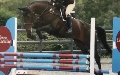 ☘️”She really is something special” says eventer Ella Miall of her horse purchased as a 4 year old…