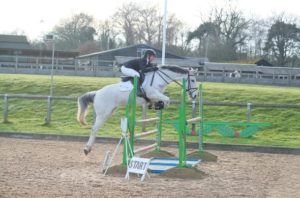 Competition horse jumping green fence