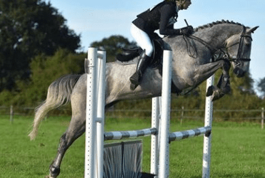 ☘️”He’s an absolutely wonderful boy…” says New Forest Hunts Instructor Rebecca Tooley